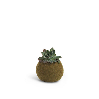 Flower Pot 16 Small - Olive