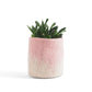 Flower Pot 18 Medium - Pink