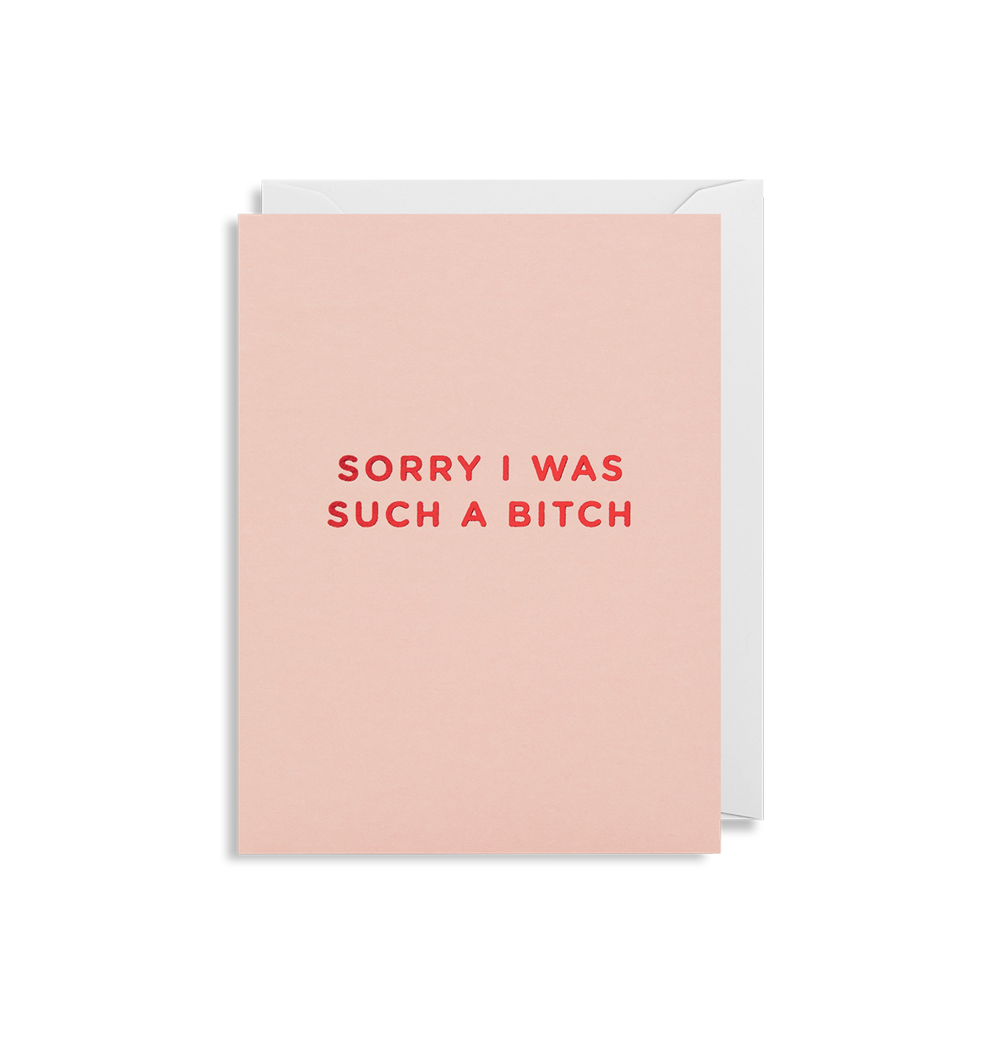 Sorry I Was Such A Bitch - Minicard