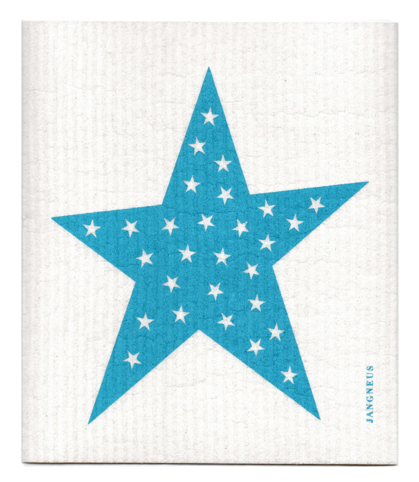 Big Star Dishcloth - Turquoise